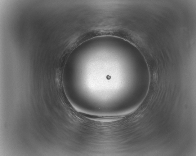 X0000062921300200601131441