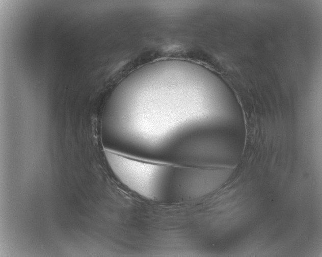 X0000062921301200601131441