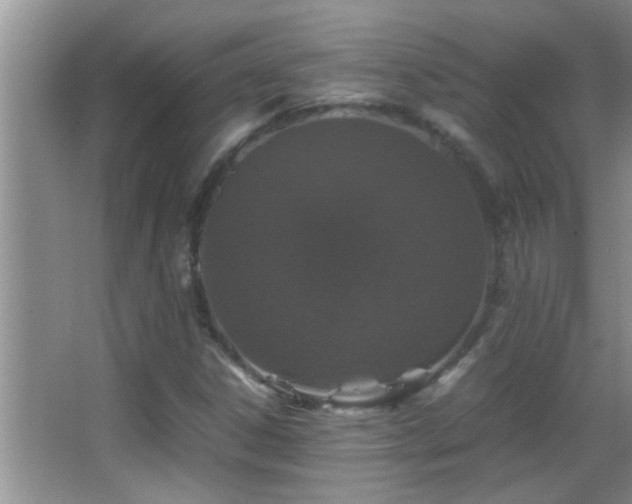 X0000062921306200601131441