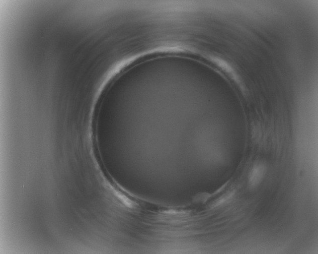 X0000062921327200601131442