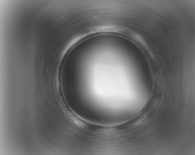 X0000062921328200601131442