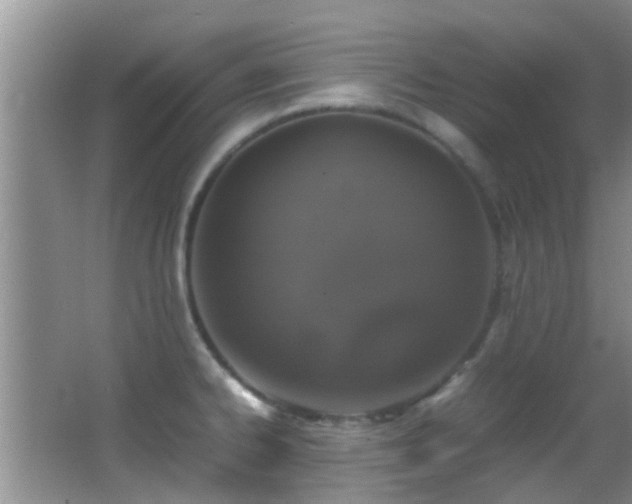 X0000062921334200601131442