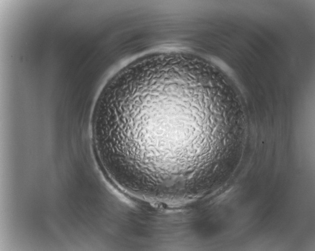 X0000062921335200601131442