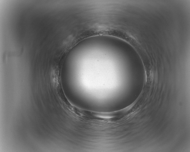 X0000062921348200601131441