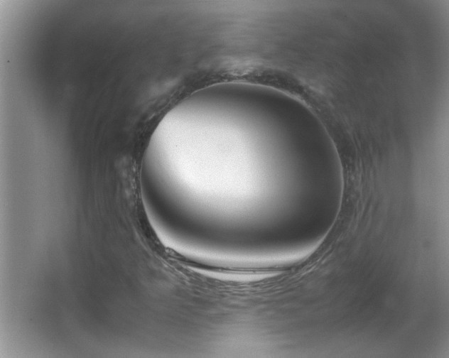 X0000062921349200601131441