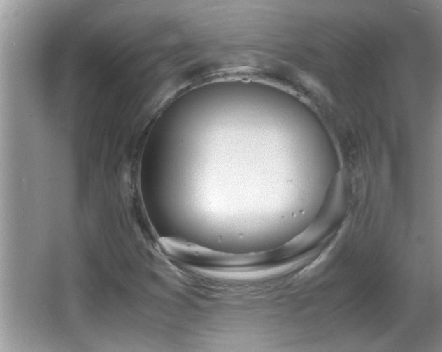 X0000062921353200601131441