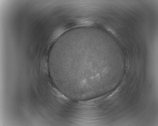X0000062921354200601131441