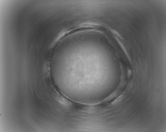 X0000062921355200601131441