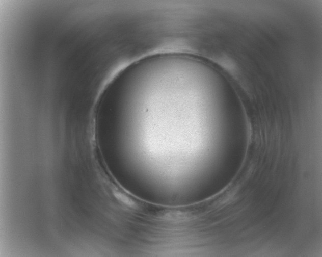 X0000062921366200601131441
