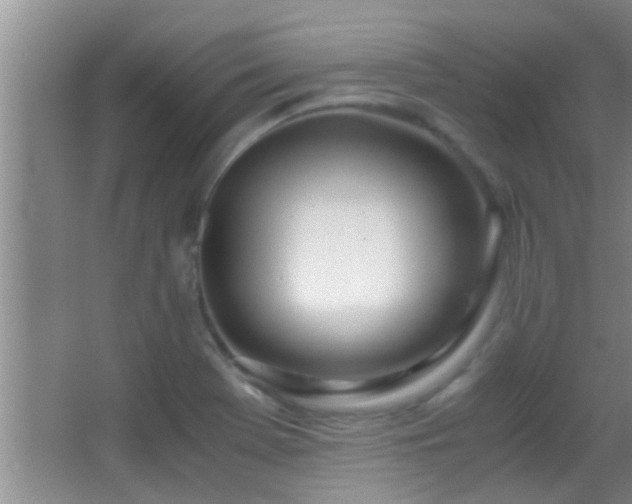 X0000062921369200601131441