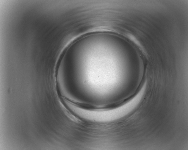 X0000062921372200601131441