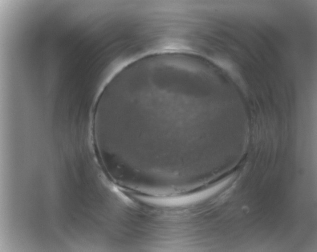X0000062921374200601131441
