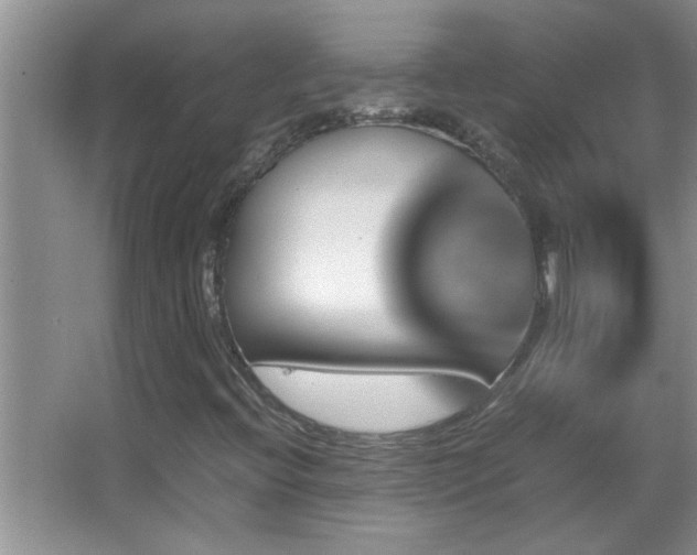 X0000062921396200601131440