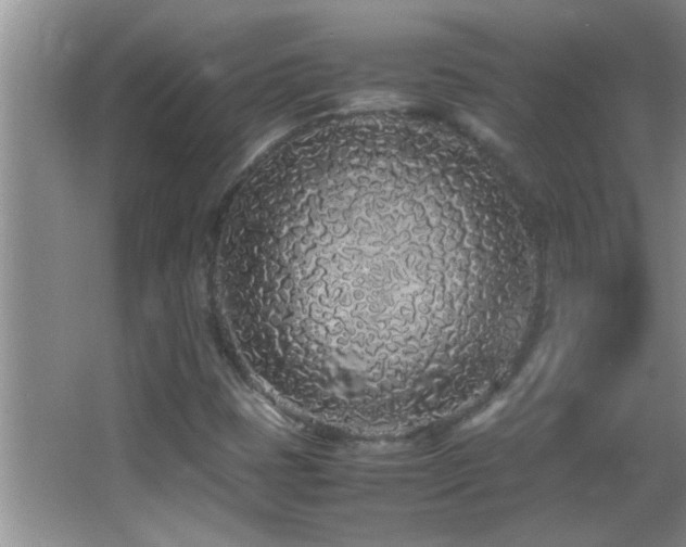 X0000062921401200601131440