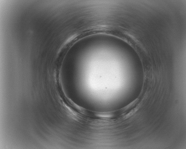 X0000062921402200601131440