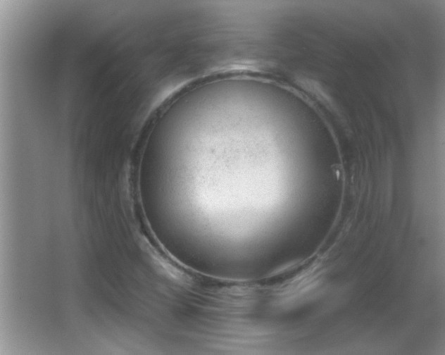 X0000062921404200601131440