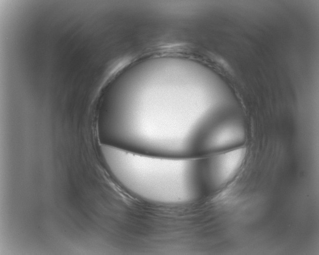 X0000062921405200601131440