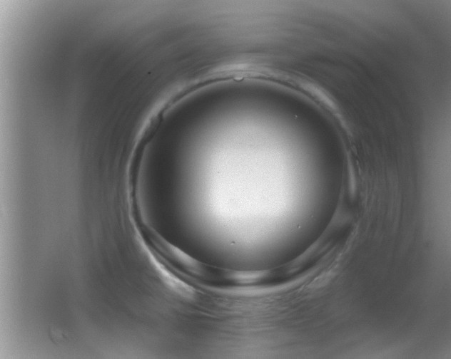 X0000062921430200601131440