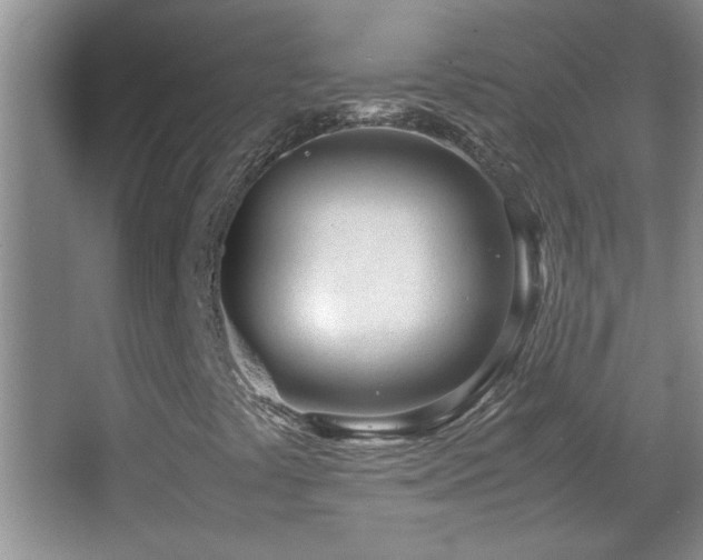 X0000062921441200601131440