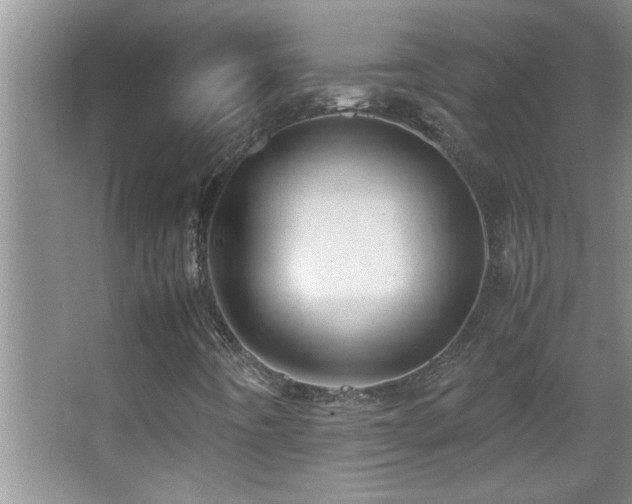 X0000062921442200601131440
