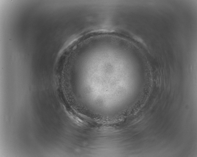 X0000062921448200601131440