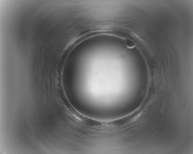X0000062921449200601131440