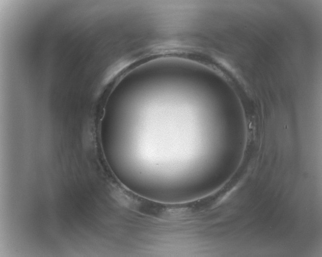 X0000062921453200601131439