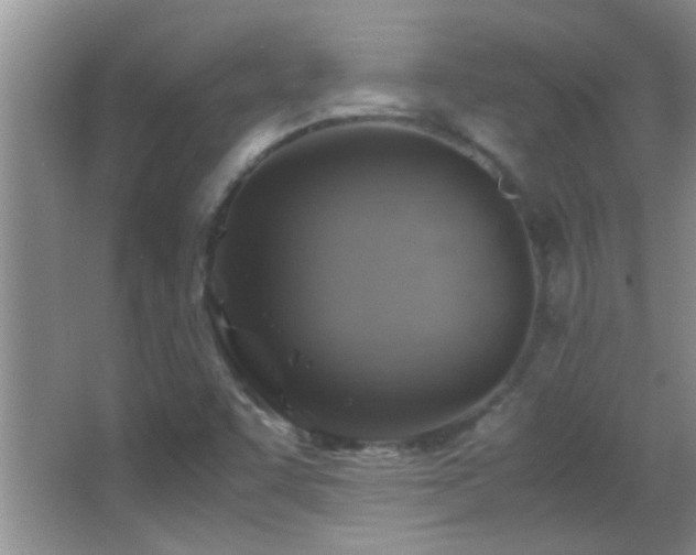 X0000062921455200601131439