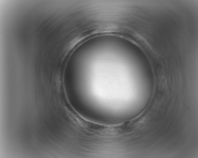X0000062921457200601131439