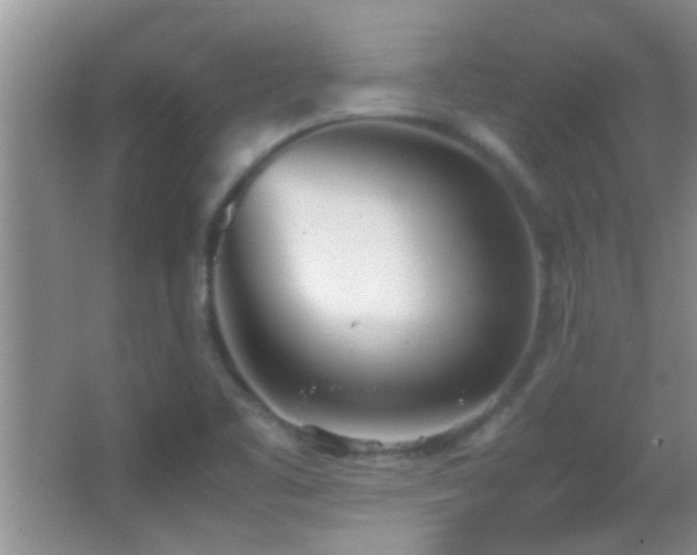 X0000062921461200601131439
