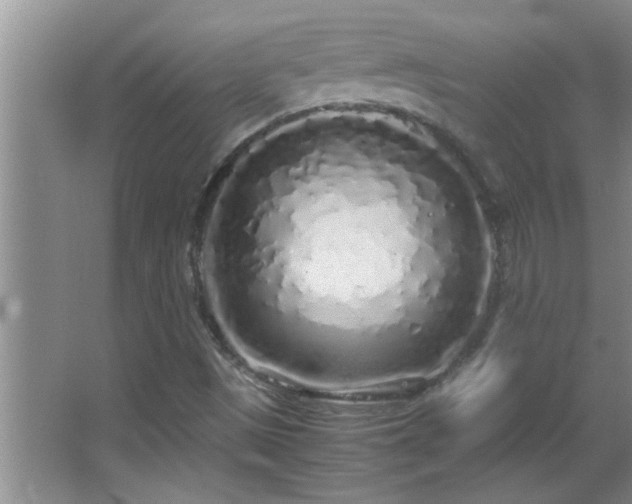 X0000062921497200601131438
