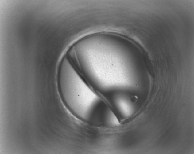 X0000062921508200601131438
