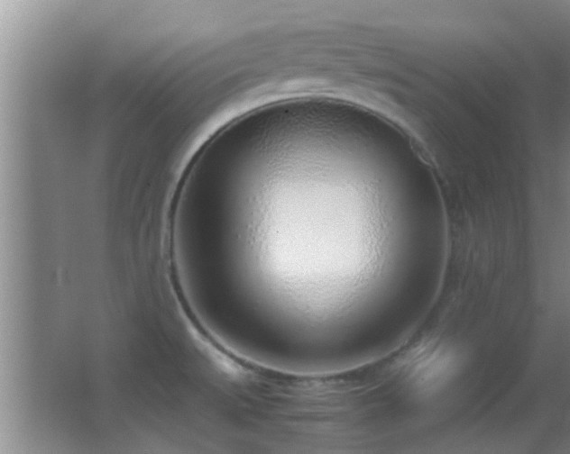 X0000062921527200601131439