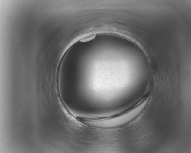 X0000062921534200601131439