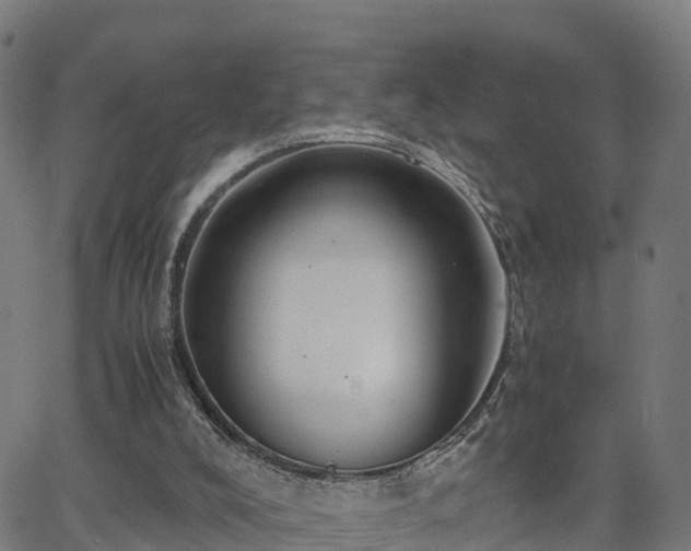 X0000062920008200601181256