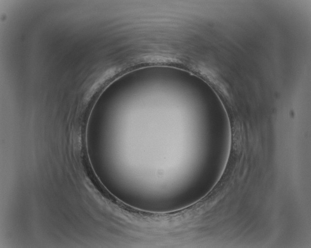 X0000062920015200601181256