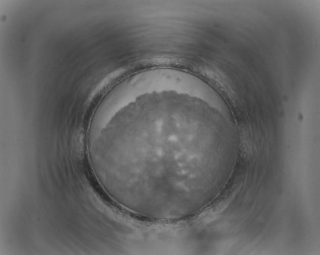 X0000062920016200601181256