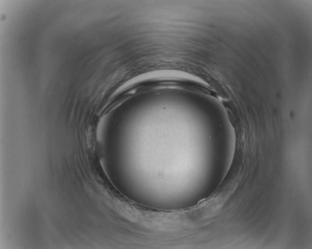 X0000062920044200601181255