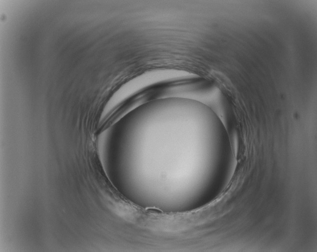 X0000062920045200601181255