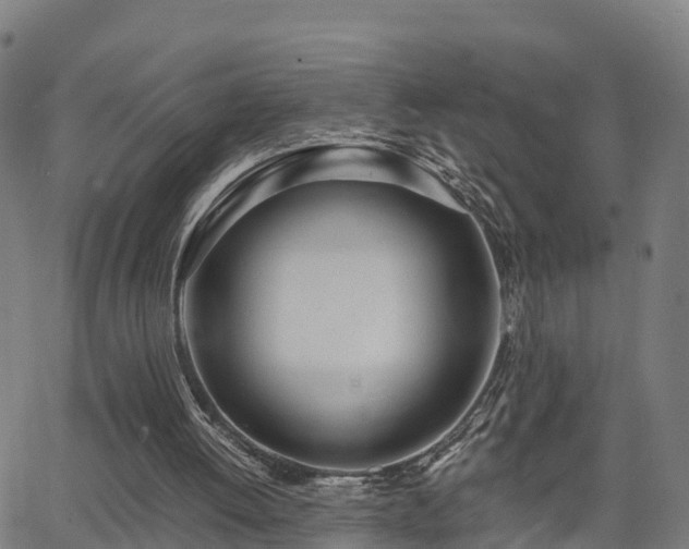 X0000062920052200601181255
