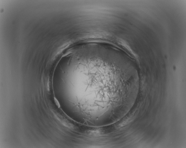 X0000062920068200601181255