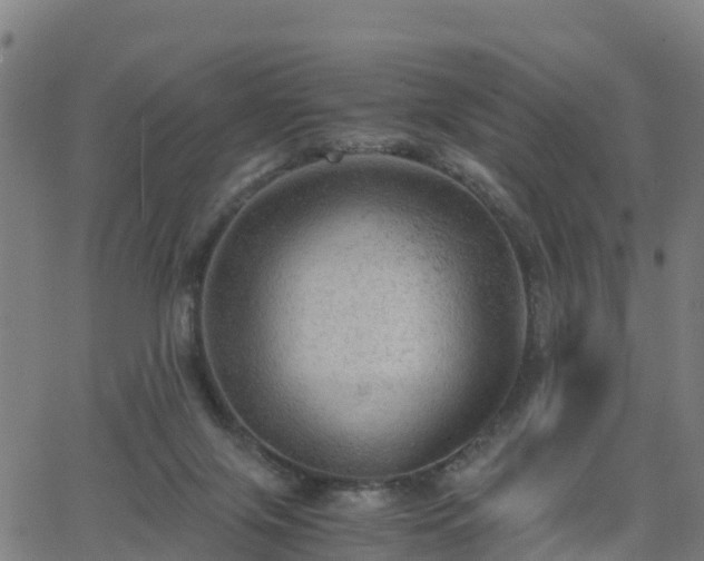 X0000062920071200601181255