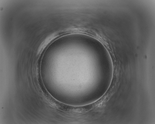 X0000062920103200601181254