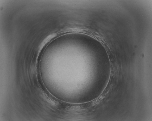 X0000062920104200601181254