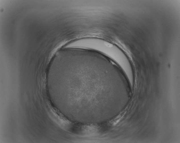 X0000062920107200601181254
