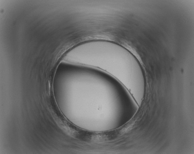X0000062920109200601181254