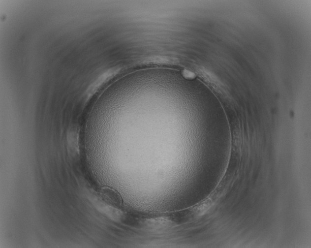 X0000062920112200601181254