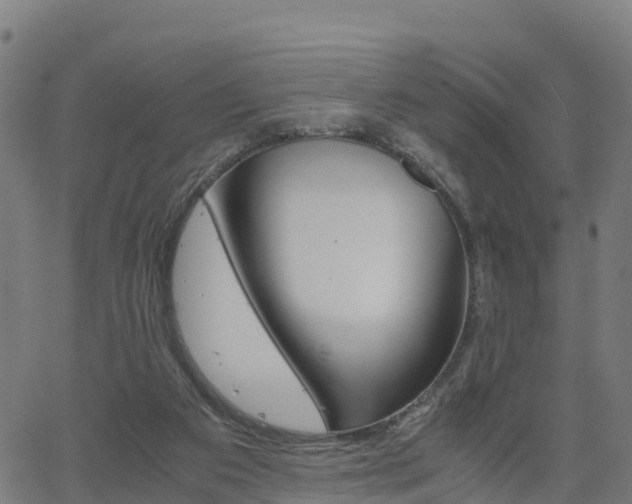 X0000062920113200601181254