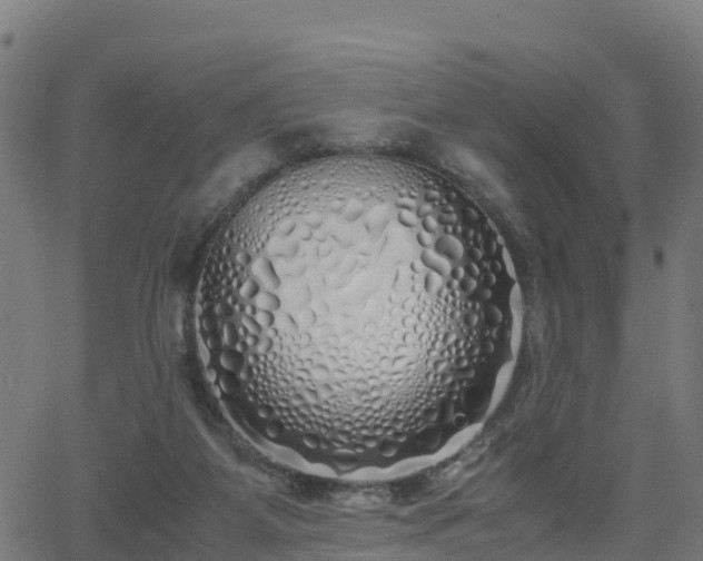 X0000062920115200601181254