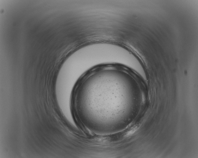 X0000062920117200601181254